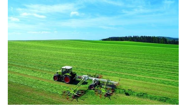 农业农村部：全国早稻育秧近两成，春耕生产开局良好
