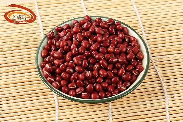 珍珠大红豆