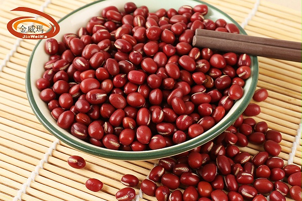 珍珠大红豆
