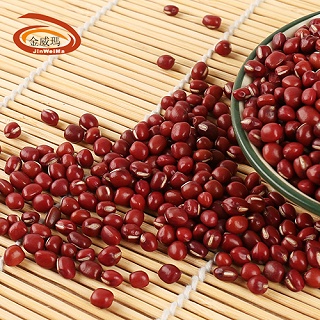 珍珠中红豆