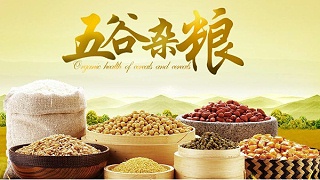 乾安举办第四届五谷杂粮产业峰会