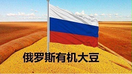 首批俄大豆进入中国，美大豆失去市场份额
