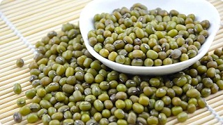 我国1-3月进口大豆激增 非转基因大豆需求略有缺口