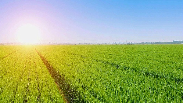 全国农业绿色产品供给能力稳步提升