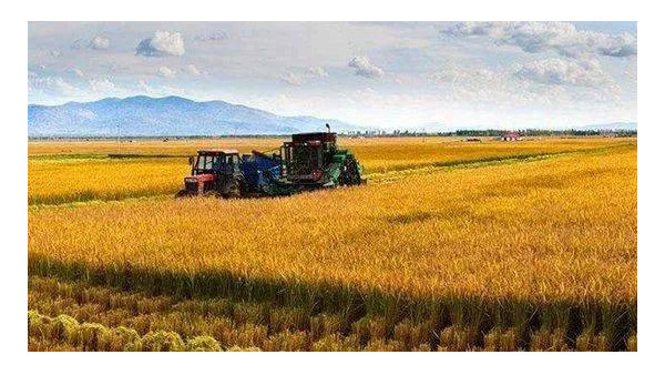 农业农村部：全国大部分地区秋粮生产进展顺利
