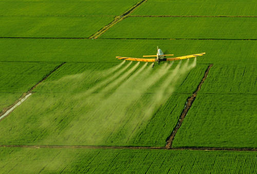 农业农村部：防控重大病虫害，控制危害损失