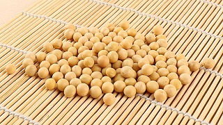 预计大豆播种面积再增400万亩