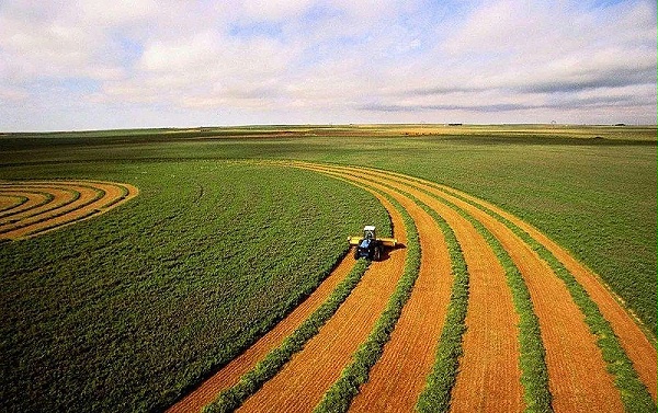 农业农村部：夏粮单产提高超过预期