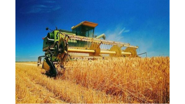农业农村部：部署政策举措，确保秋粮稳产增产