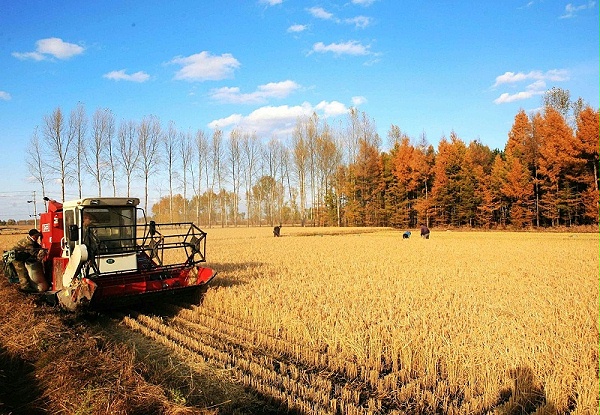 今年中国农业生产预计达到1.38万亿斤
