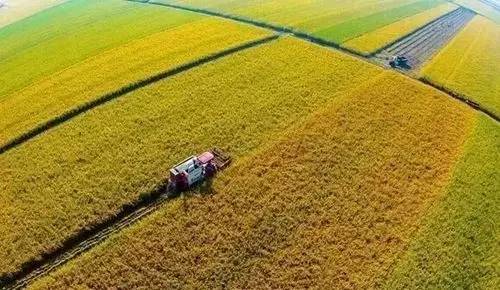 第四届海外农业研究大会在京召开，探讨新形势下的海外农业