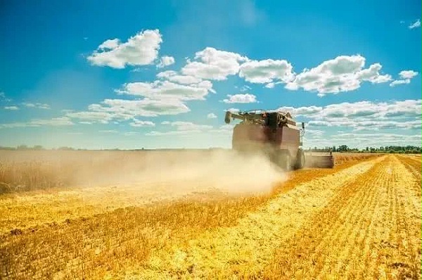 农业农村部：全国已收获小麦1.37亿亩，收获进度达45.1%