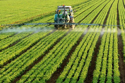 专家认为疫情应推动全球农业转型