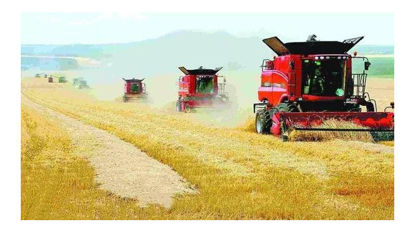 新疆农业部门统一小麦收割，确保夏粮归仓