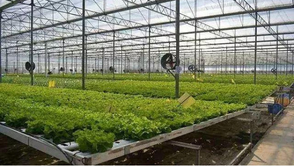 加快农业农村现代化进程，推动农业科技现代化
