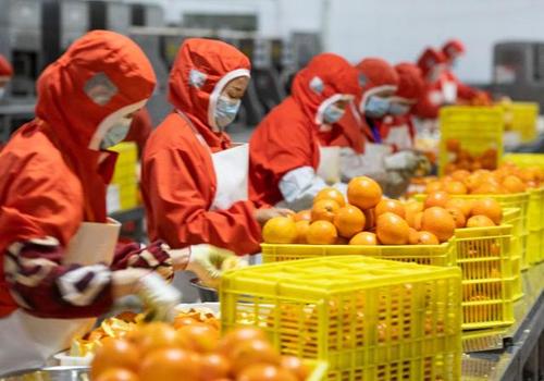 疫情防控好转，农产品价格平稳下降