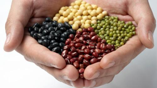 豆类会影响孕妇激素水平吗？