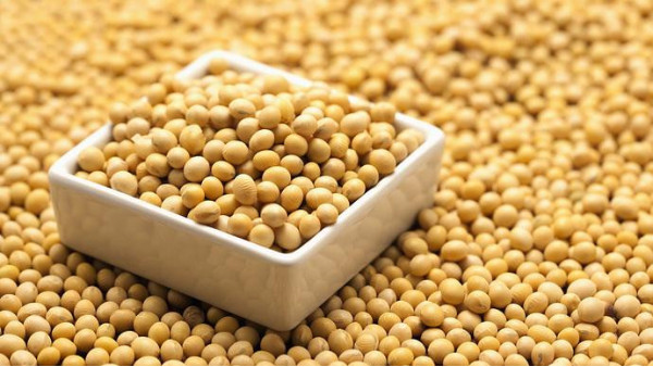 农业农村部启动大豆振兴计划实施方案