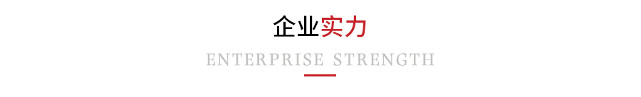 企业实力
