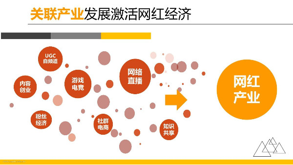 非“网红”不企业？“网红”和企业的关系<i style='color:red'>不简单</i>