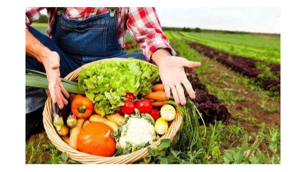 农业农村部展开全国食用农产品合格证制度试行