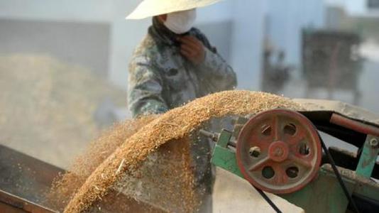 我国粮食产后损失严重，节粮护理空间巨大