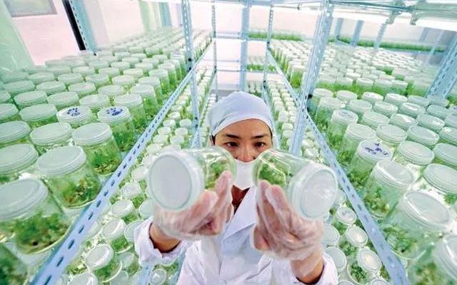 中国农业领域国家级技术创新中心落户