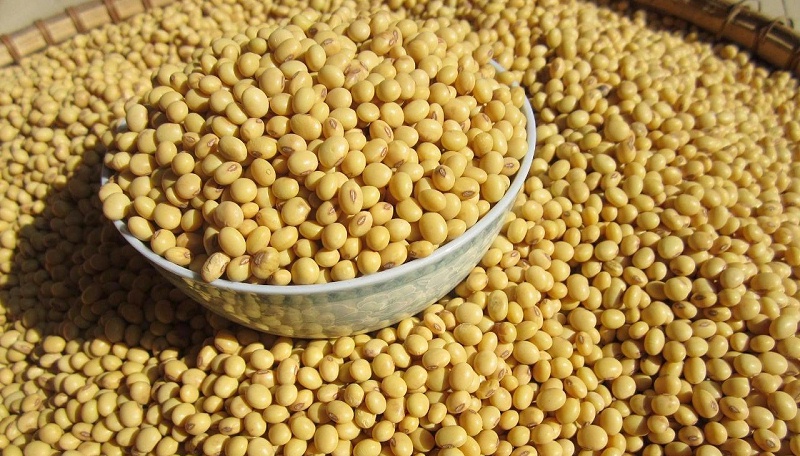 农业农村部考虑建设国家级大豆种子生产基地