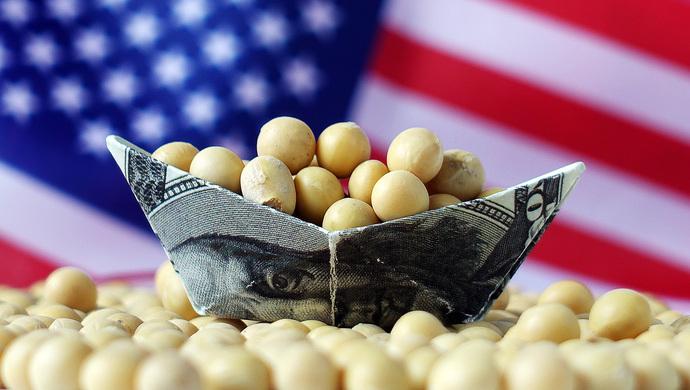 谁能替代美国大豆？