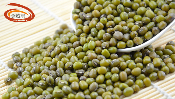 全球绿豆市场主要出口国生产概况