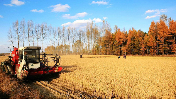 农业农村部：推动西北地区农业高质量发展